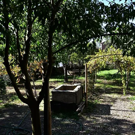 Casa Dona Amelia Holiday home *